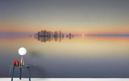 Lake Mattamuskeet List